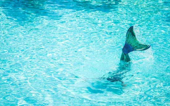 À Guérande, on peut apprendre l’art de nager comme une petite sirène